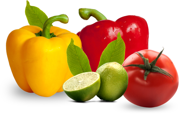 Fresh produce foodservice products from Montano's catalog.